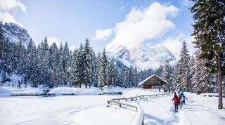 Residence Cavanis Wellness & Spa - Sappada - 3