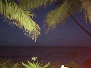 Paradise Beach Bungalows - Paje - 4