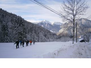 Chalet Fleur des Neiges - Saint-Jean-dʼAulps - 4