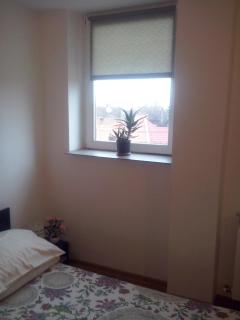 Timeea`s Home - Sibiu - 5