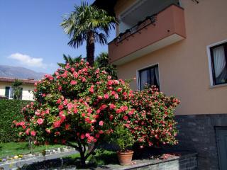 Apartment Casa Thuja - Ascona - 9