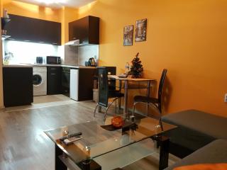 Apartments Vasil Levski - 7