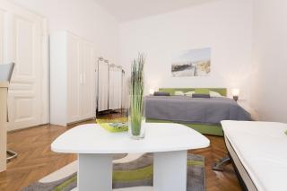 Belvedere Palace Green Heart Studio - 9