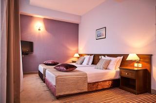 Hotel Lion Sofia - Sofia - 8