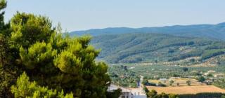 B&B Rose Villa - Peschici - 5