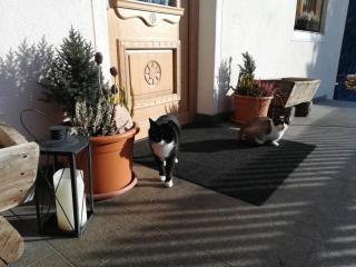 Bigraberhof - Valdaora - 2