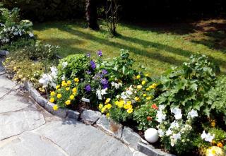Apartment Casa Thuja - Ascona - 6