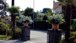 Apartment Casa Thuja - Ascona - 2