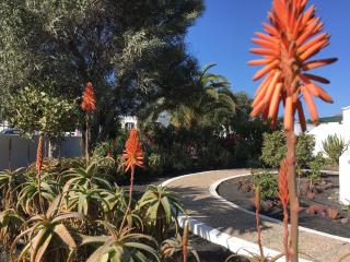 Casa Beatriz - Playa Blanca - 3