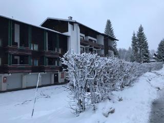 Wachtelhof Apartment - Maria Alm am Steinernen Meer - 9