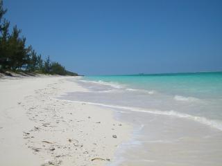Hollywood Beach Suites Turks and Caicos - Whitby - 8