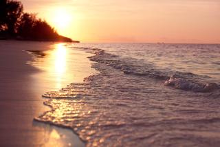 Hollywood Beach Suites Turks and Caicos - Whitby - 2