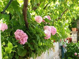 Alaburic rooms & apartment - Mali Lošinj - 9
