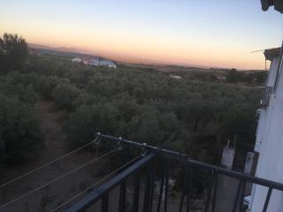 El capazo - Hoyos - 2
