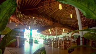 Vanilla Sky Dive Resort - Panglao Island - 1