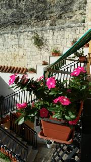 Pineta Monserrato - 9