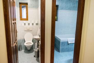 Spacious and Quiet Attic Flat in Centre - Prague - 3