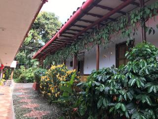 Finca Machangara - Quimbaya - 7