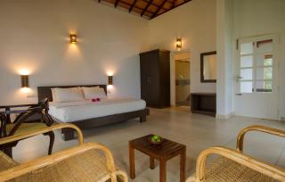 After the Rains - Rainforest Lodge - Meppādi - 3