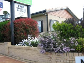 Settlers Motor Inn - Tenterfield - 8