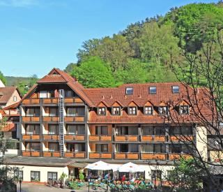 Landgasthof zur Linde - Heimbuchenthal - 5