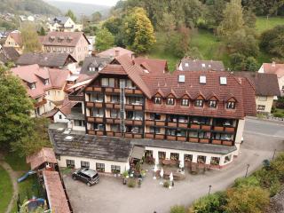 Landgasthof zur Linde - Heimbuchenthal - 8