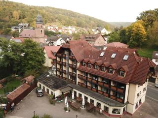 Landgasthof zur Linde - Heimbuchenthal - 7