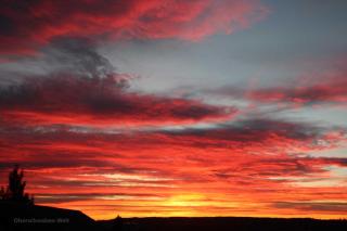 Haus Köberle Ummendorf - 2