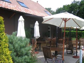 Hôtel Barbier des Bois - Bruailles - 8