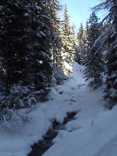 Gasthof Leiter´s Hoamatl - 1