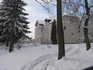 Dwór w Odonowie - Odonów - 1