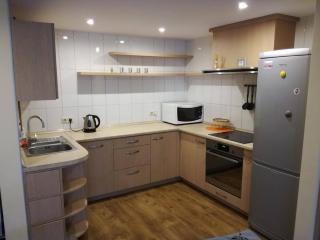 Apartamentai Klonio g. - Druskininkai - 1