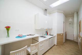 Mini Economy apartments in the central part of Lviv- Krekhivska 7 - Lviv - 4