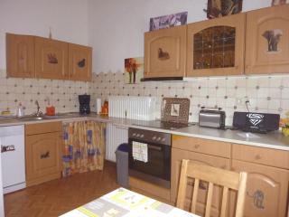 Ferienwohnung direkt in Ilmenau - Ilmenau - 3