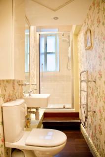 Period Property on Castle Street - Edimburgo - 1