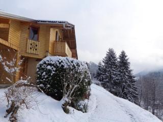 chalet Noyer - Domaine du Fraizier - Thônes - 4
