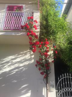 A Casa di LoLu - Grottammare - 9