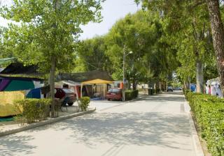 Eurocamping - Oliva - 3