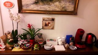 Hotel garni Am Hochwald - Braunlage - 6