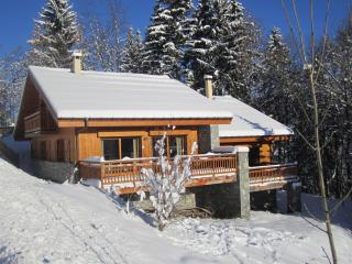 Chalet Les Jumelles - Les Allues - 9