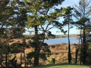 Mick's Cottage - Loughrea - 8