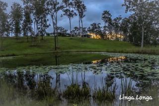 Linga Longa Spiritual Retreat - Curra - 0