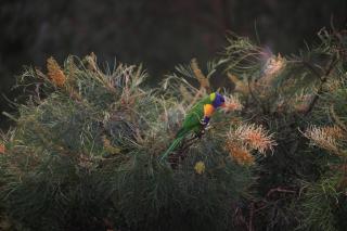 Linga Longa Spiritual Retreat - Curra - 7