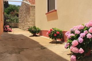 Apartments by the sea Veli Rat, Dugi otok - 437 - 4