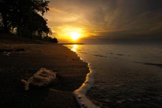 Rinjani Beach Eco Resort - Tanjung - 6