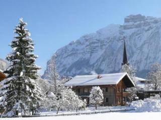 Alps Villa - 5