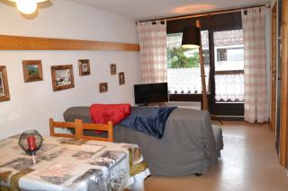 Praz-du-Soleil F3 - Les Gets - 5