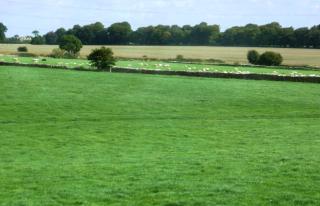 Windylands - Chipping Sodbury - 7