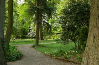 Manoir de la Peylouse - Saint-Venant - 2