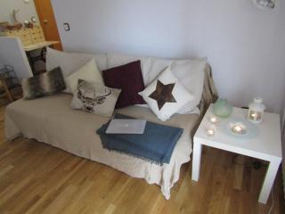Cap del Tarter Apartament - El Tarter - 4